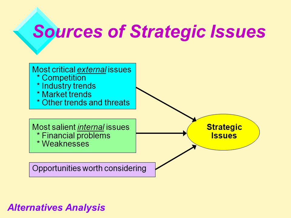 Application identifying strategic issues